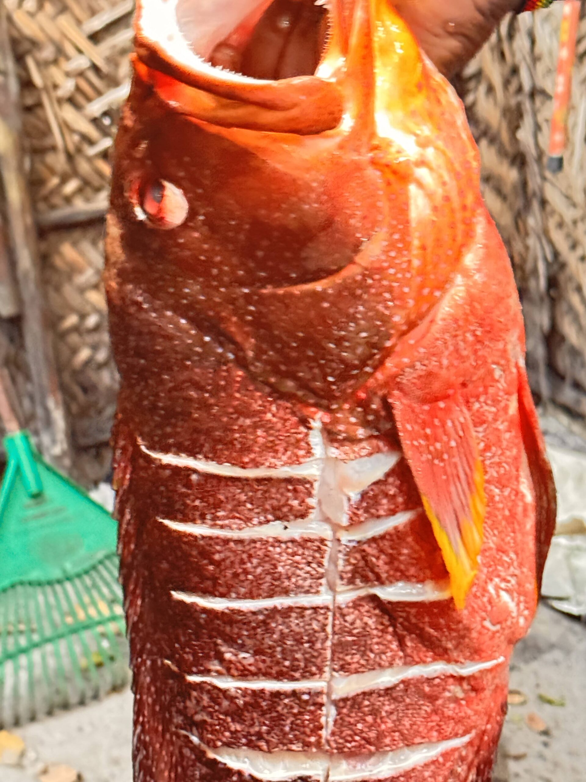 img 0051